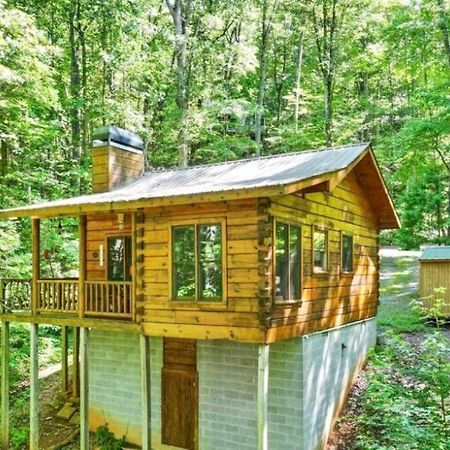 Open Studio Lodge At Little Rock Creek Cherry Log Extérieur photo