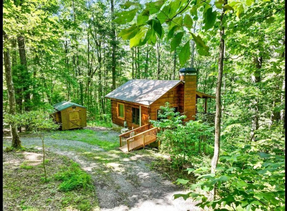Open Studio Lodge At Little Rock Creek Cherry Log Extérieur photo